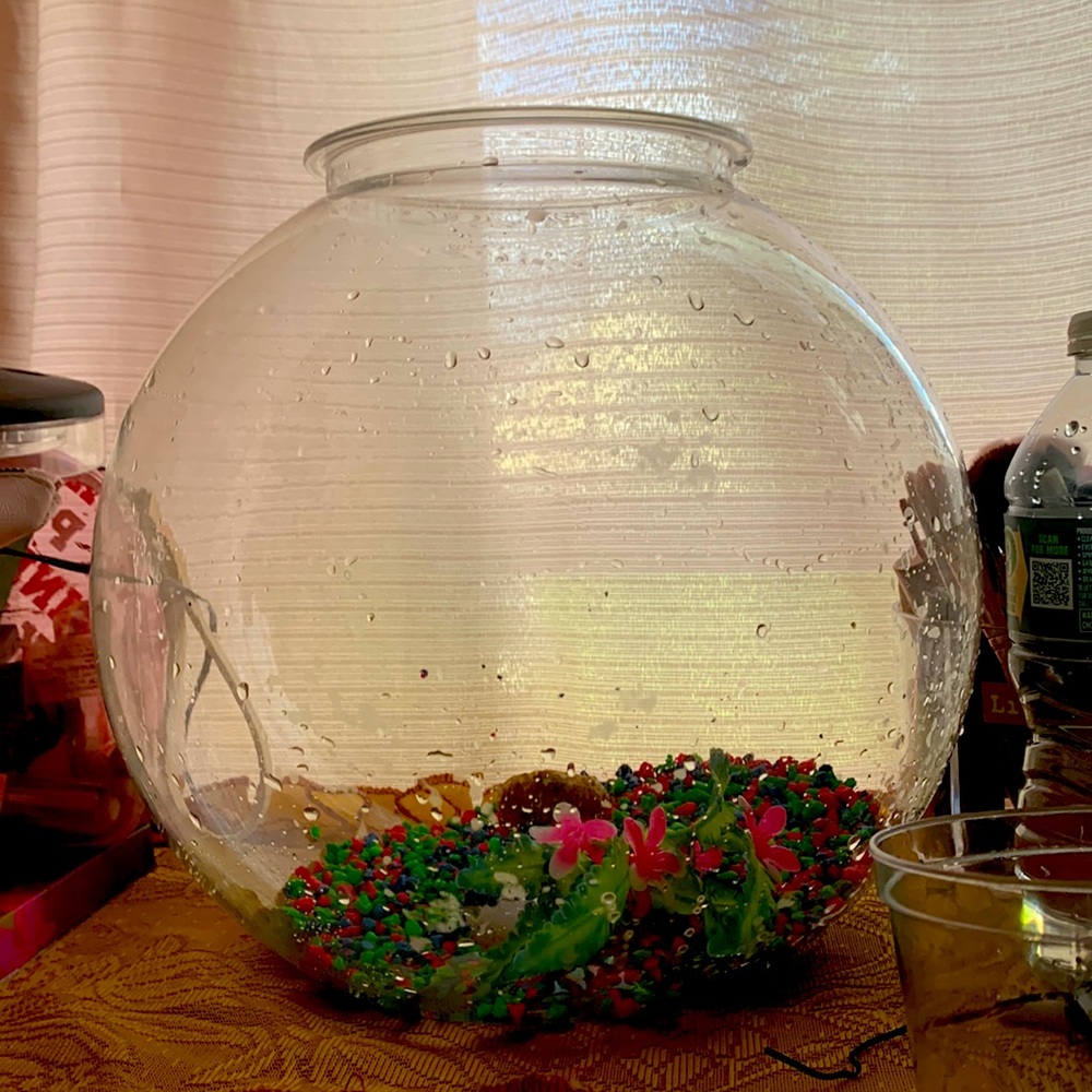 This tank was too big for my one fish